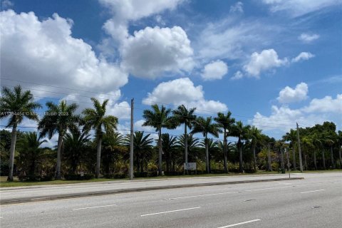 Купить коммерческую недвижимость в Палм Спрингс, Флорида № 359822 - фото 1