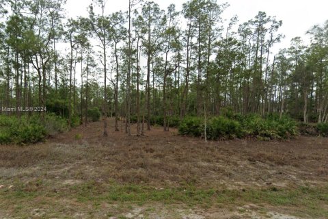 Terreno en venta en Lehigh Acres, Florida № 1128355 - foto 1