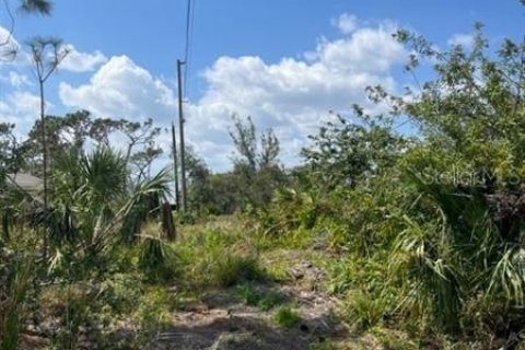 Terrain à vendre à Port Charlotte, Floride № 366211 - photo 6