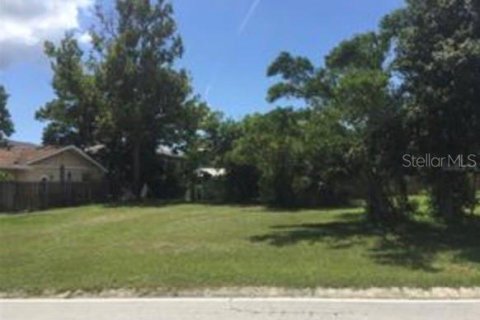 Land in Palm Harbor, Florida № 1365109 - photo 3