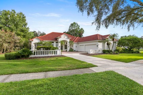 Villa ou maison à vendre à Tampa, Floride: 4 chambres, 323.58 m2 № 1369540 - photo 1