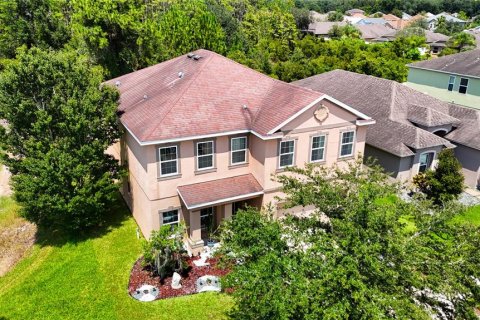 Villa ou maison à vendre à Wesley Chapel, Floride: 4 chambres, 319.96 m2 № 1276845 - photo 3