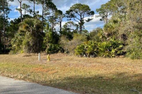 Terreno en venta en Punta Gorda, Florida № 1297357 - foto 3