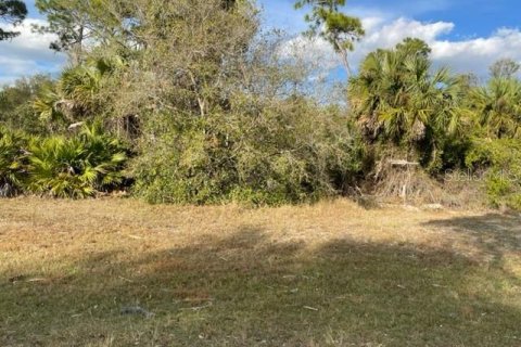 Land in Punta Gorda, Florida № 1297357 - photo 2