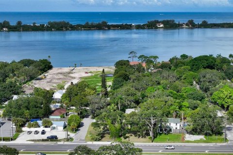 Land in Osprey, Florida № 1297356 - photo 6