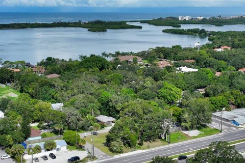 Land in Osprey, Florida № 1297356 - photo 7