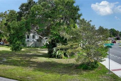 Land in Osprey, Florida № 1297356 - photo 16