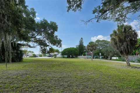 Land in Osprey, Florida № 1297356 - photo 20