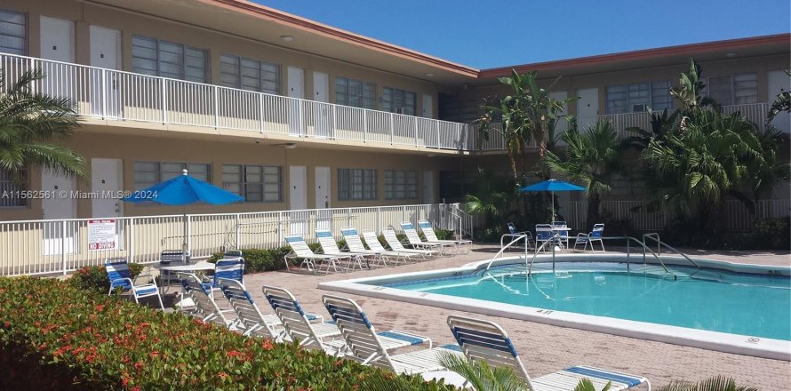 Hotel in Hallandale Beach, Florida 29.73 sq.m. № 1097079