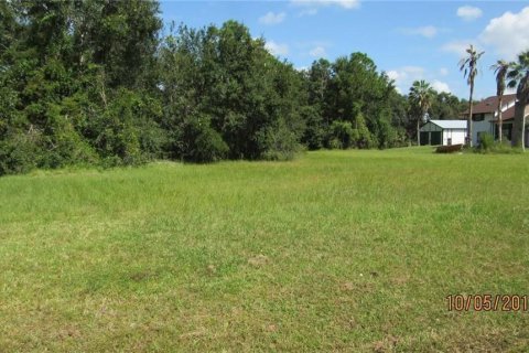 Terreno en venta en Kissimmee, Florida № 1249272 - foto 1