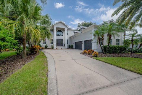 Villa ou maison à vendre à Tampa, Floride: 5 chambres, 497.03 m2 № 1363467 - photo 1