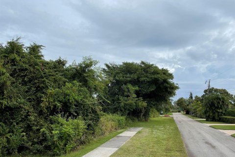 Land in Stuart, Florida № 734703 - photo 1