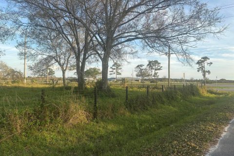 Land in Okeechobee, Florida № 987403 - photo 1