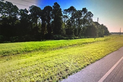 Terrain à vendre à Okeechobee, Floride № 1013112 - photo 3