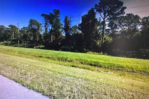 Terrain à vendre à Okeechobee, Floride № 1013112 - photo 4
