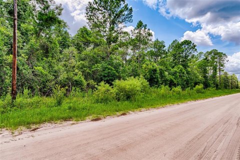 Land in Palatka, Florida № 1295494 - photo 4