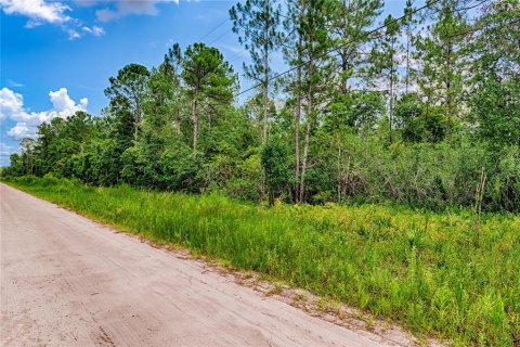 Terrain à vendre à Palatka, Floride № 1295494 - photo 3