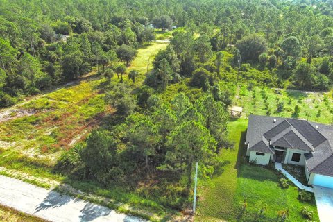 Land in Lehigh Acres, Florida № 1365411 - photo 11