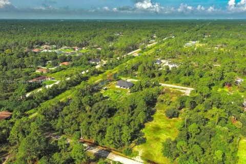 Land in Lehigh Acres, Florida № 1365411 - photo 21