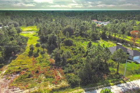 Terreno en venta en Lehigh Acres, Florida № 1365411 - foto 8