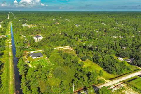 Terreno en venta en Lehigh Acres, Florida № 1365411 - foto 23