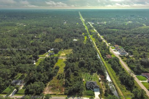 Land in Lehigh Acres, Florida № 1365411 - photo 10