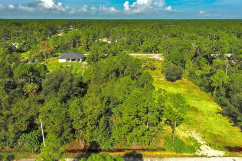 Land in Lehigh Acres, Florida № 1365411 - photo 16