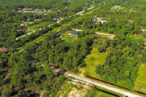 Terreno en venta en Lehigh Acres, Florida № 1365411 - foto 19