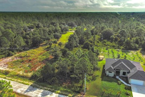 Land in Lehigh Acres, Florida № 1365411 - photo 13