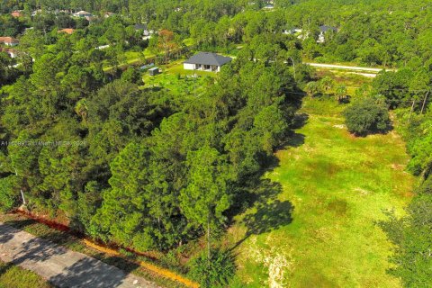 Terreno en venta en Lehigh Acres, Florida № 1365411 - foto 18