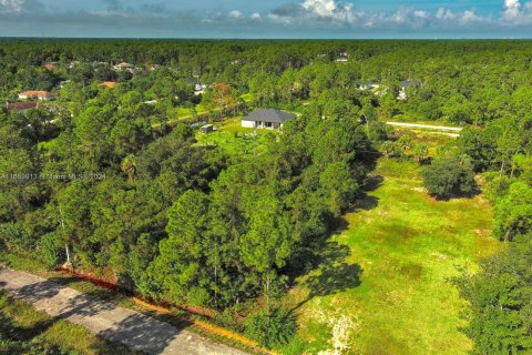 Land in Lehigh Acres, Florida № 1365411 - photo 20