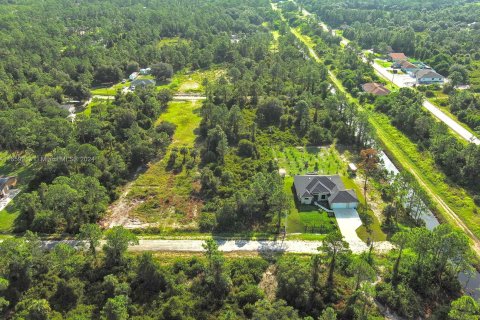 Land in Lehigh Acres, Florida № 1365411 - photo 3