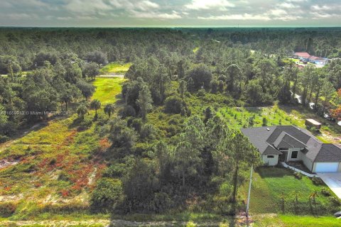 Terreno en venta en Lehigh Acres, Florida № 1365411 - foto 4