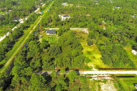 Terreno en venta en Lehigh Acres, Florida № 1365411 - foto 15