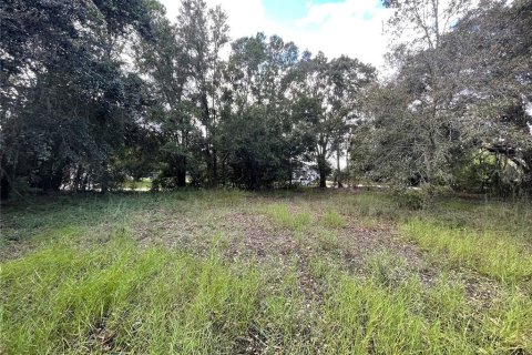 Terreno en venta en Lutz, Florida № 1403162 - foto 3