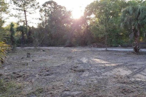 Terrain à vendre à Clewiston, Floride № 1135982 - photo 2