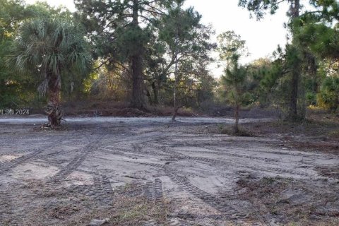 Terrain à vendre à Clewiston, Floride № 1135982 - photo 1