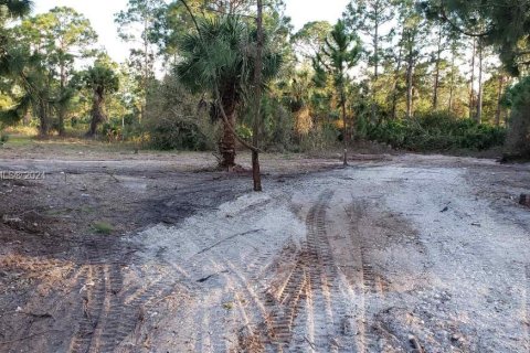 Land in Clewiston, Florida № 1135982 - photo 3