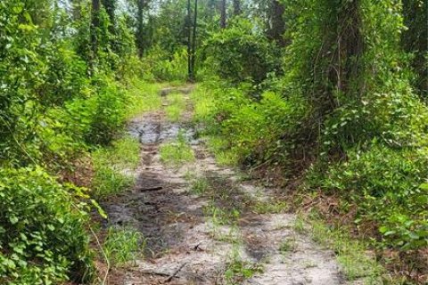 Land in Myakka City, Florida № 1259617 - photo 22