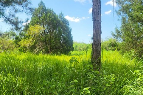 Land in Myakka City, Florida № 1259617 - photo 5