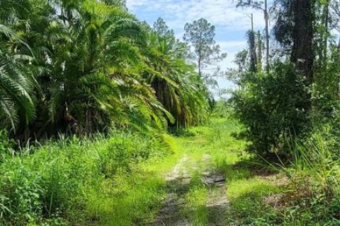 Land in Myakka City, Florida № 1259617 - photo 23