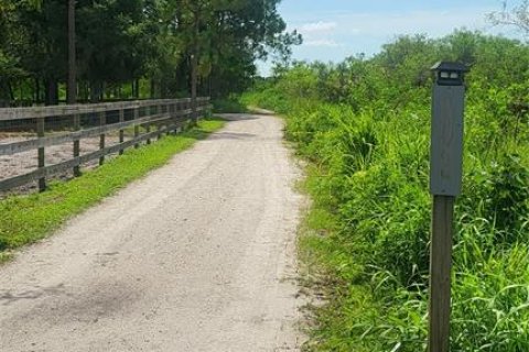 Land in Myakka City, Florida № 1259617 - photo 19