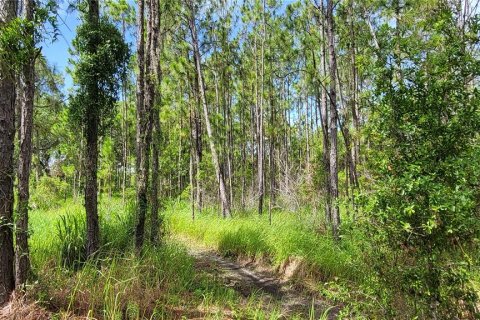 Land in Myakka City, Florida № 1259617 - photo 6