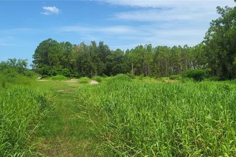 Terreno en venta en Myakka City, Florida № 1259617 - foto 10