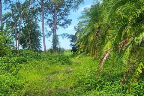 Terrain à vendre à Myakka City, Floride № 1259617 - photo 4