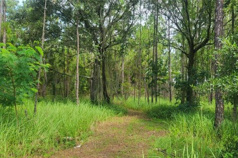 Land in Myakka City, Florida № 1259617 - photo 3