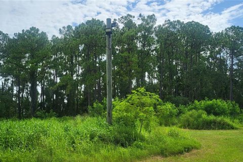 Land in Myakka City, Florida № 1259617 - photo 8