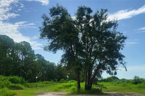 Land in Myakka City, Florida № 1259617 - photo 20