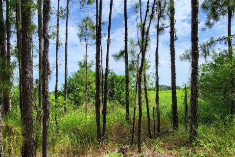 Land in Myakka City, Florida № 1259617 - photo 7