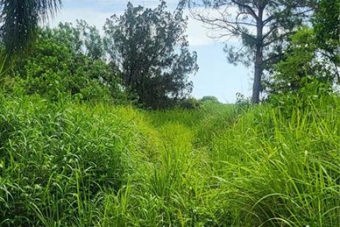 Land in Myakka City, Florida № 1259617 - photo 16